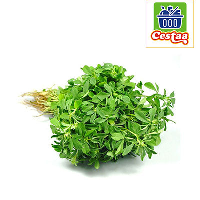 Fresh Fenugreek leaves / Methi - Cestaa Retail